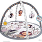 Baby Play Gym with Ocean Balls and Activity Fence