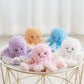 Baby Octopus Plush Toy