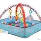 Baby Play Gym with Ocean Balls and Activity Fence
