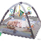 Baby Play Gym with Ocean Balls and Activity Fence