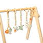 Baby Play Gym & Hanging Toys