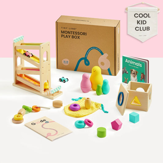 Montessori Educational Toys for Toddlers 16–18 Months Learning Play