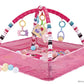 Baby Play Gym with Ocean Balls and Activity Fence