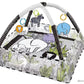 Baby Play Gym with Ocean Balls and Activity Fence