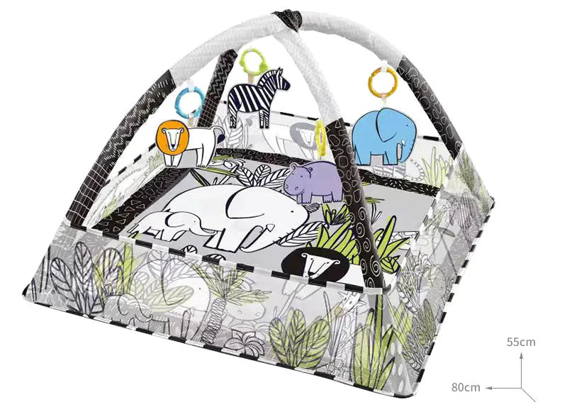 Baby Play Gym with Ocean Balls and Activity Fence