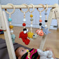 Baby Play Gym & Hanging Toys