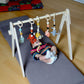 Baby Play Gym & Hanging Toys