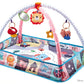 Baby Play Gym with Ocean Balls and Activity Fence
