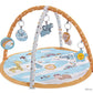 Baby Play Gym with Ocean Balls and Activity Fence